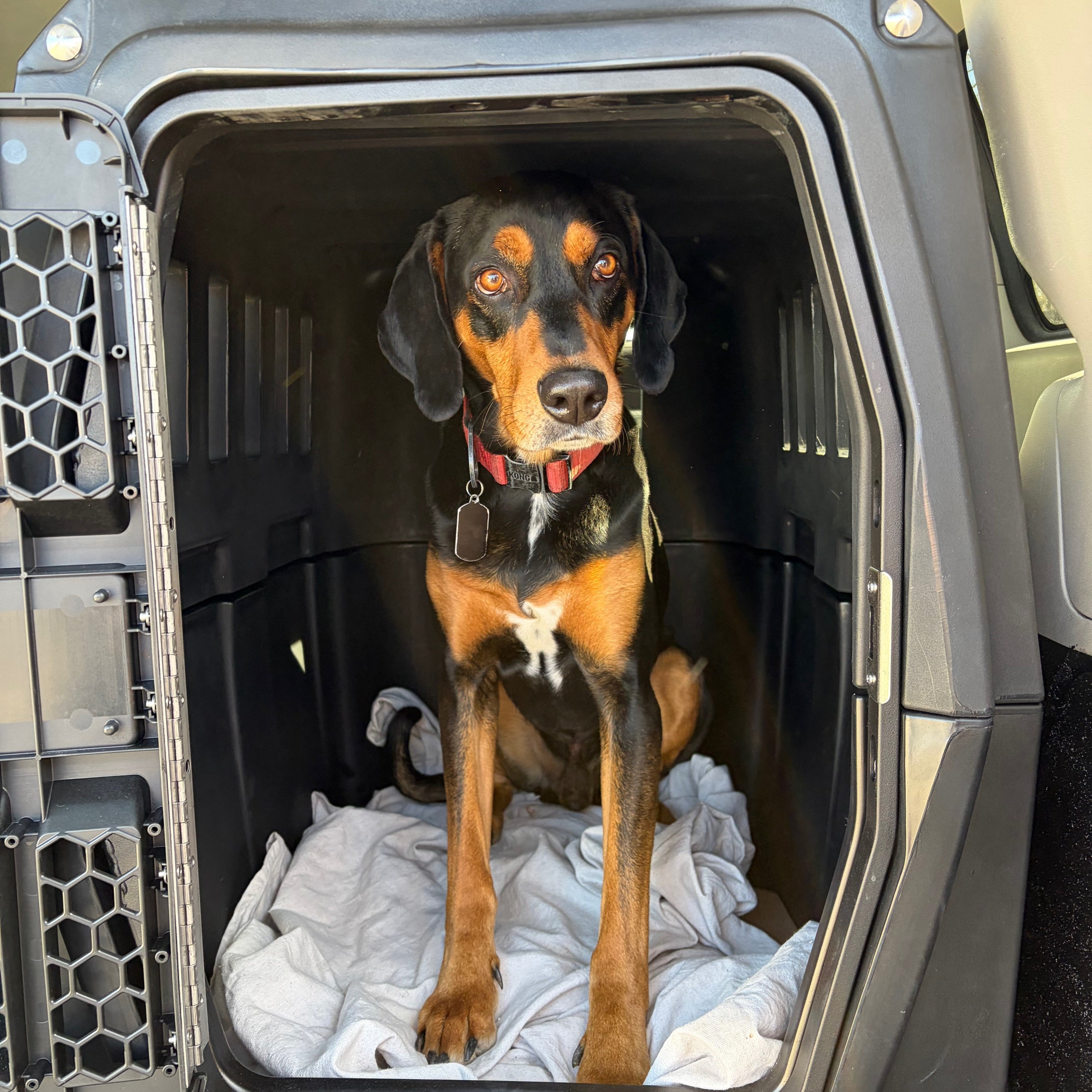 Transportation $40/ Per Ride