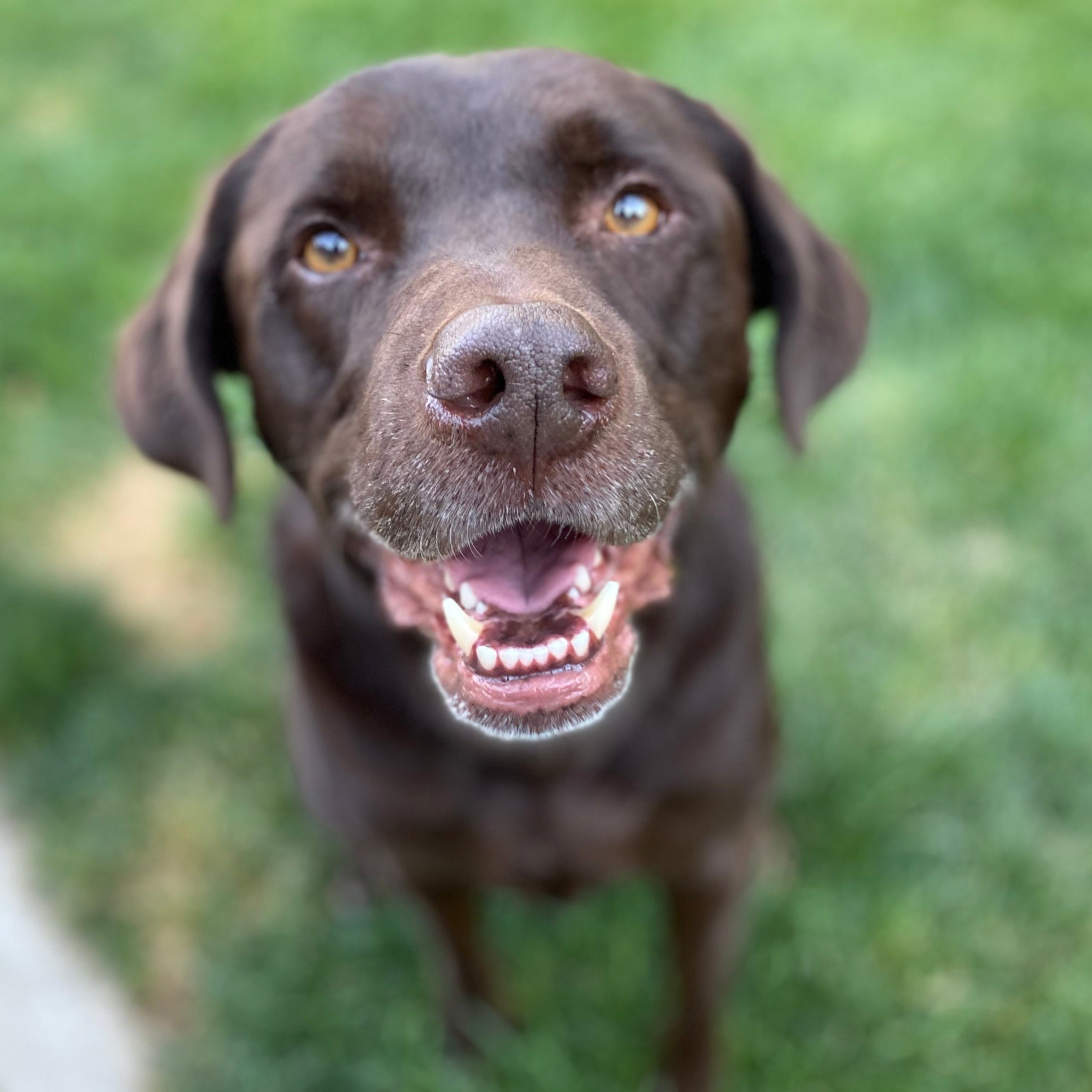 Check-ins $35/Hr * 1 Hour Minimum